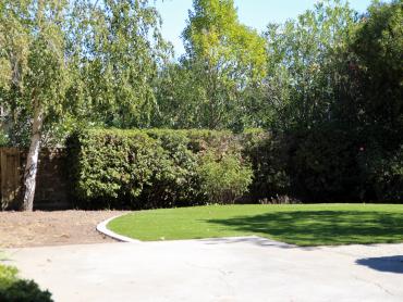 Artificial Grass Photos: Lawn Services Wrightsville, Pennsylvania Home And Garden, Backyard Design
