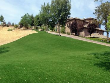 Artificial Grass Photos: Outdoor Carpet Bally, Pennsylvania Rooftop, Front Yard Design