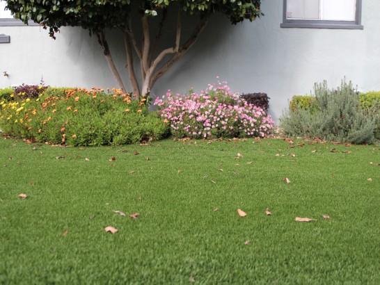 Artificial Grass Photos: Outdoor Carpet East Norriton, Pennsylvania Lawn And Landscape, Front Yard Landscaping Ideas