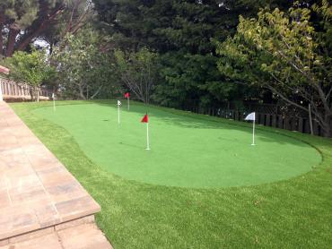 Artificial Grass Photos: Outdoor Carpet Fredericksburg, Pennsylvania Outdoor Putting Green, Backyard Designs