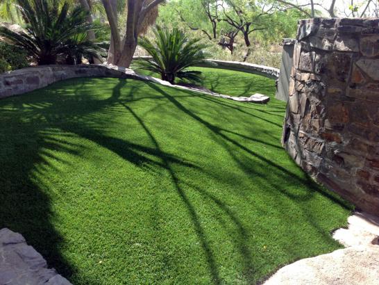 Artificial Grass Photos: Outdoor Carpet Kelayres, Pennsylvania Landscape Ideas