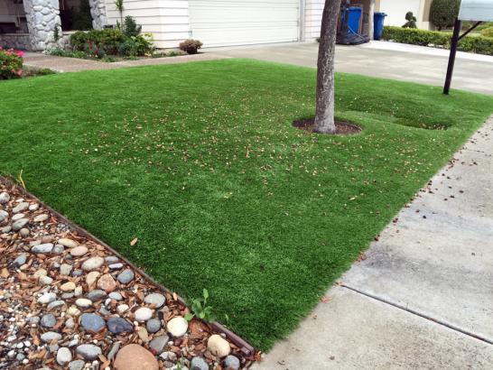 Artificial Grass Photos: Outdoor Carpet Laflin, Pennsylvania Design Ideas, Front Yard Landscaping