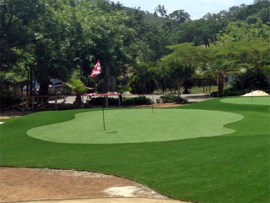 Artificial Grass Photos: Outdoor Carpet Norwood, Pennsylvania Home And Garden, Front Yard