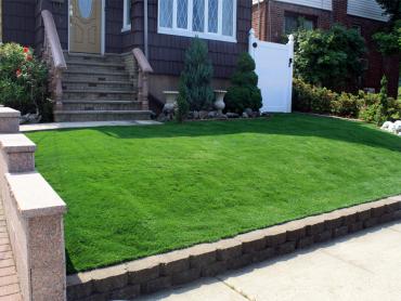 Artificial Grass Photos: Outdoor Carpet South Temple, Pennsylvania Landscape Photos, Front Yard Landscaping Ideas