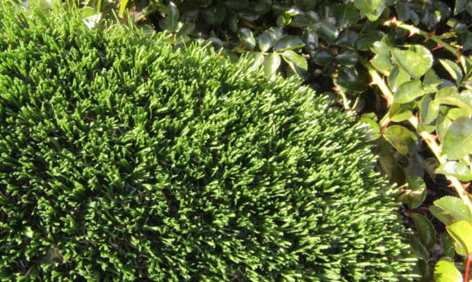 Hollow Blade-73 syntheticgrass Artificial Grass Philadelphia Pennsylvania