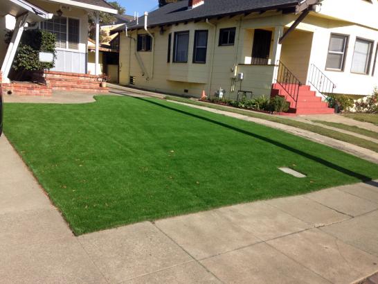 Artificial Grass Photos: Plastic Grass Fairview-Ferndale, Pennsylvania Garden Ideas, Front Yard Landscape Ideas