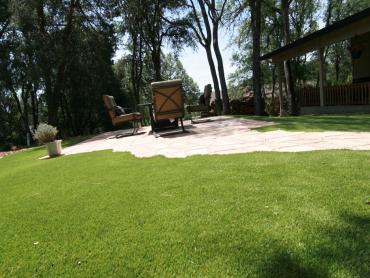 Artificial Grass Photos: Plastic Grass Gap, Pennsylvania Design Ideas, Backyard Ideas