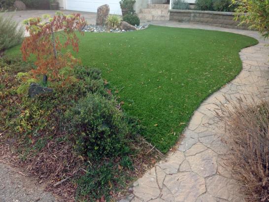 Artificial Grass Photos: Plastic Grass Georgetown, Pennsylvania Drainage, Backyard Landscaping Ideas