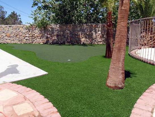 Plastic Grass Hemlock Farms, Pennsylvania Outdoor Putting Green, Backyard Design artificial grass