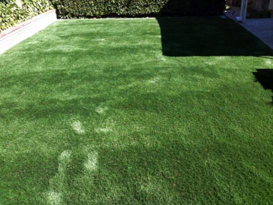 Artificial Grass Photos: Plastic Grass Loganville, Pennsylvania Landscape Design, Backyard Landscaping Ideas