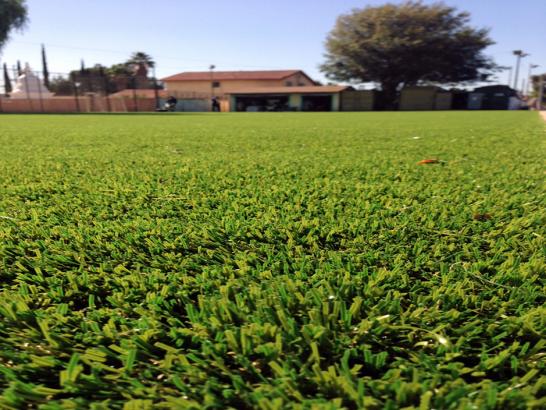 Artificial Grass Photos: Plastic Grass Marshallton, Pennsylvania Landscaping