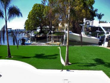 Artificial Grass Photos: Plastic Grass Morton, Pennsylvania Landscape Design, Backyards