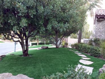 Artificial Grass Photos: Plastic Grass Palmer Heights, Pennsylvania Home And Garden, Front Yard Landscaping Ideas