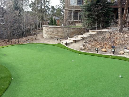 Artificial Grass Photos: Plastic Grass Penn Wynne, Pennsylvania Landscaping Business, Beautiful Backyards