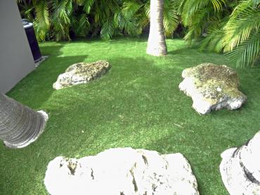 Artificial Grass Photos: Plastic Grass Radnor, Pennsylvania Roof Top, Small Backyard Ideas