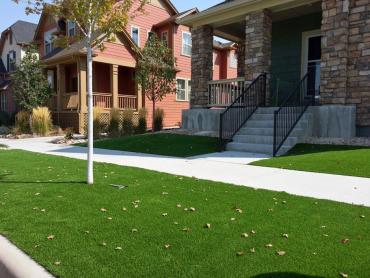 Plastic Grass Rutledge, Pennsylvania Design Ideas, Landscaping Ideas For Front Yard artificial grass