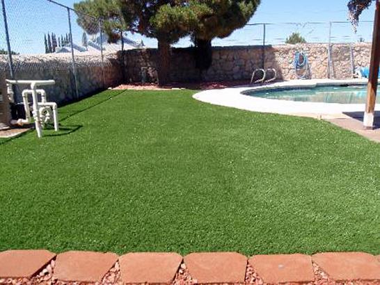 Artificial Grass Photos: Plastic Grass Warrior Run, Pennsylvania Cat Grass, Swimming Pools