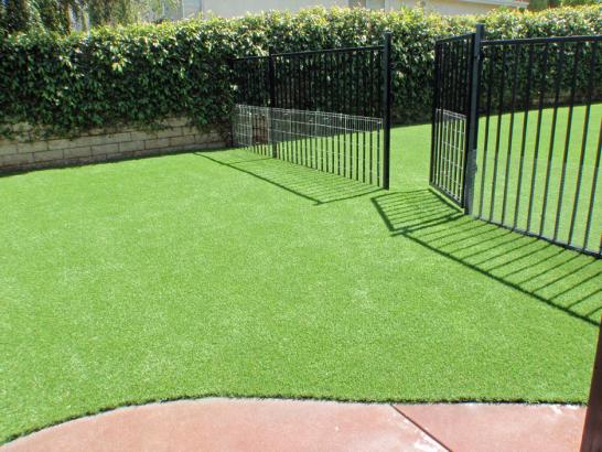 Artificial Grass Photos: Synthetic Grass Bryn Mawr, Pennsylvania Hotel For Dogs, Front Yard Landscape Ideas