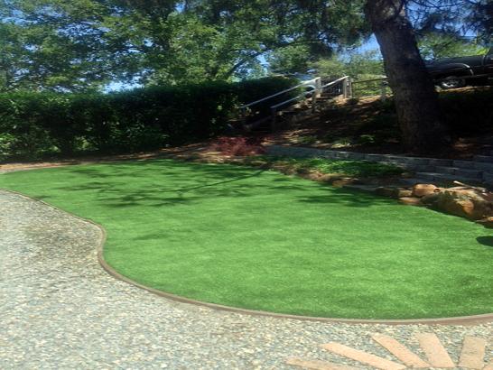 Artificial Grass Photos: Synthetic Grass Conyngham, Pennsylvania Landscaping Business, Backyard Design