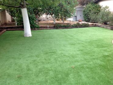 Artificial Grass Photos: Synthetic Grass Cost Cornwall, Pennsylvania City Landscape, Backyard Garden Ideas