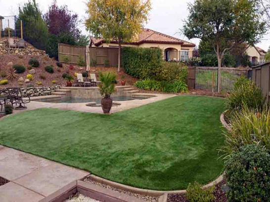 Artificial Grass Photos: Synthetic Grass Cost Hughestown, Pennsylvania Landscaping Business, Small Backyard Ideas