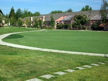 Artificial Grass Photos: Synthetic Grass Cost Landisville, Pennsylvania Gardeners, Commercial Landscape