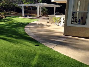 Artificial Grass Photos: Synthetic Grass Cost Milford Square, Pennsylvania Cat Playground, Front Yard Landscaping
