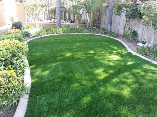 Artificial Grass Photos: Synthetic Grass Cost Newtown, Pennsylvania Landscaping Business