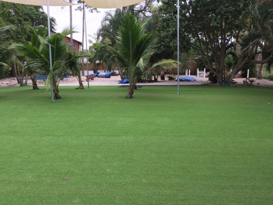 Artificial Grass Photos: Synthetic Grass Cost West Chester, Pennsylvania Landscaping Business, Commercial Landscape