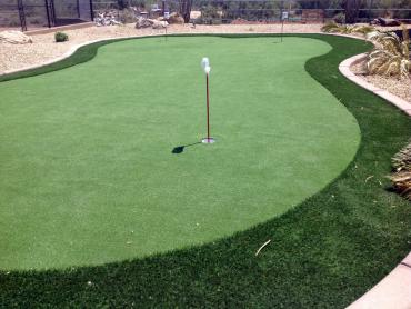 Artificial Grass Photos: Synthetic Grass Friedensburg, Pennsylvania Lawn And Garden, Backyard