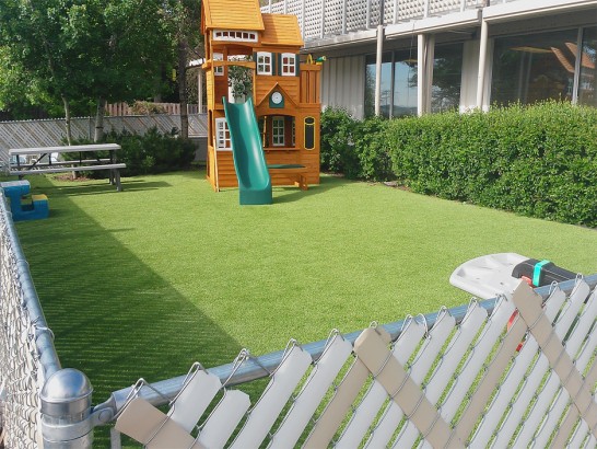 Artificial Grass Photos: Synthetic Grass Maple Glen, Pennsylvania Landscaping, Backyards