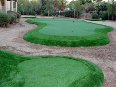 Artificial Grass Photos: Synthetic Grass Swarthmore, Pennsylvania Best Indoor Putting Green, Backyard Landscaping Ideas