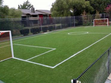 Artificial Grass Photos: Synthetic Grass Tinicum, Pennsylvania Backyard Sports, Commercial Landscape