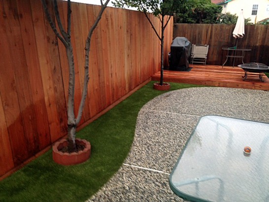 Artificial Grass Photos: Synthetic Grass West Conshohocken, Pennsylvania Dog Grass, Small Backyard Ideas