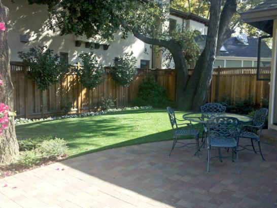 Artificial Grass Photos: Synthetic Grass Williamstown, Pennsylvania, Backyard Landscape Ideas