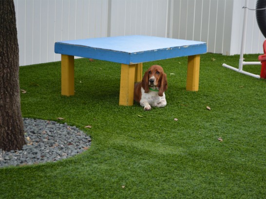 Artificial Grass Photos: Synthetic Grass Yardley, Pennsylvania Pet Paradise, Dogs Park