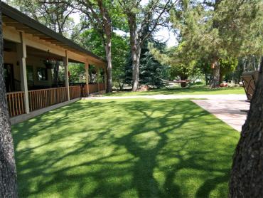 Artificial Grass Photos: Synthetic Lawn Blandon, Pennsylvania Dog Parks, Small Backyard Ideas