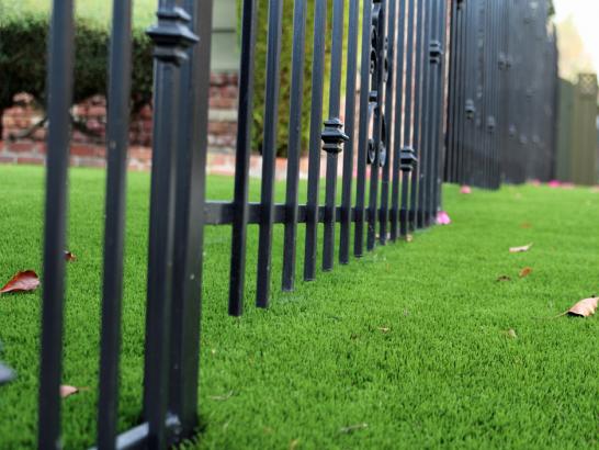 Artificial Grass Photos: Synthetic Lawn Collingdale, Pennsylvania Landscape Design, Front Yard Design