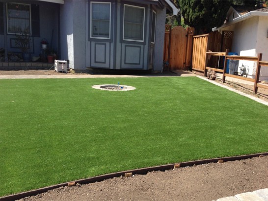 Artificial Grass Photos: Synthetic Lawn Croydon, Pennsylvania Landscape Photos, Backyard Garden Ideas