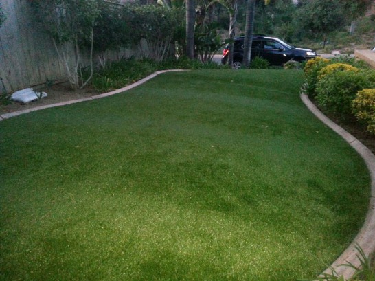 Artificial Grass Photos: Synthetic Lawn Downingtown, Pennsylvania Landscaping Business, Small Front Yard Landscaping