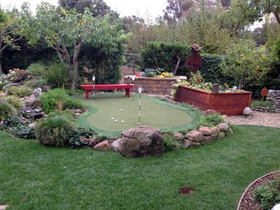 Artificial Grass Photos: Synthetic Lawn Gordon, Pennsylvania Lawn And Landscape, Backyard Landscape Ideas