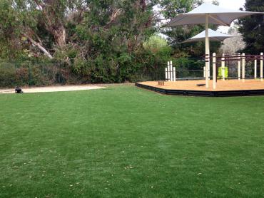 Artificial Grass Photos: Synthetic Lawn Hopeland, Pennsylvania Playground Turf