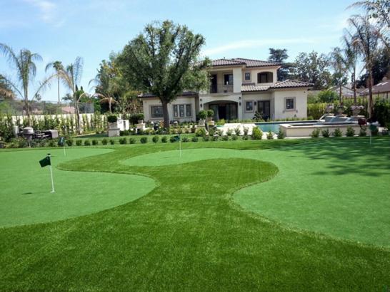 Artificial Grass Photos: Synthetic Lawn New Cumberland, Pennsylvania Landscape Ideas, Front Yard