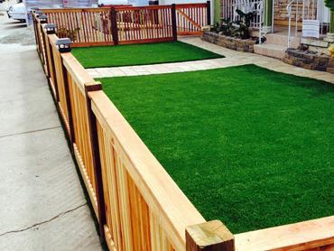 Artificial Grass Photos: Synthetic Lawn New Ringgold, Pennsylvania Lawns, Front Yard Landscape Ideas