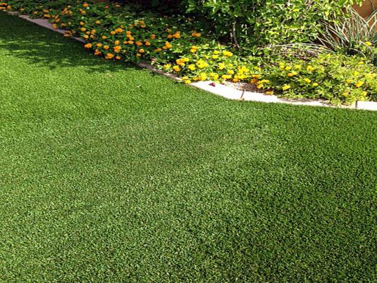 Artificial Grass Photos: Synthetic Lawn Orwin, Pennsylvania Garden Ideas, Front Yard Landscaping Ideas