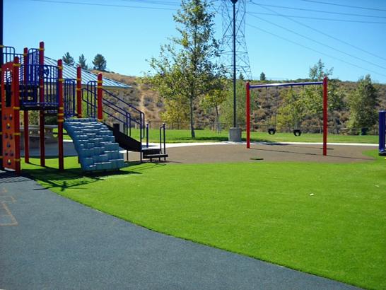 Artificial Grass Photos: Synthetic Lawn Progress, Pennsylvania Design Ideas, Recreational Areas