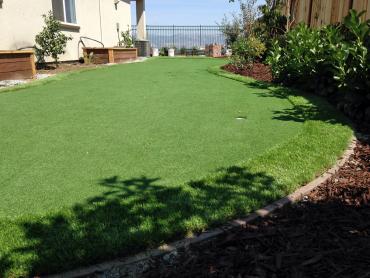 Artificial Grass Photos: Synthetic Lawn Red Hill, Pennsylvania Backyard Deck Ideas, Backyard Landscaping Ideas