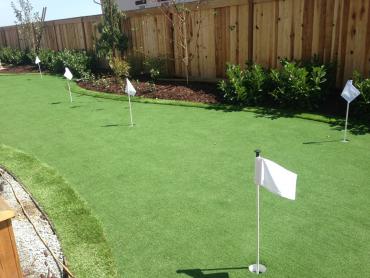 Artificial Grass Photos: Synthetic Lawn Riegelsville, Pennsylvania Artificial Putting Greens, Backyard Landscaping