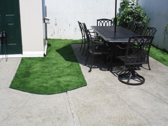 Artificial Grass Photos: Synthetic Lawn Saw Creek, Pennsylvania Backyard Playground, Backyard Landscaping