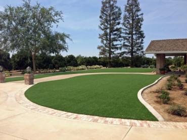 Artificial Grass Photos: Synthetic Lawn Saylorsburg, Pennsylvania Design Ideas, Front Yard Ideas